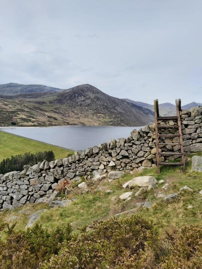 Moneydarragh Cottage With Uninterrupted Mountain And Sea Views- Hot Tub Available For Hire Annalong エクステリア 写真