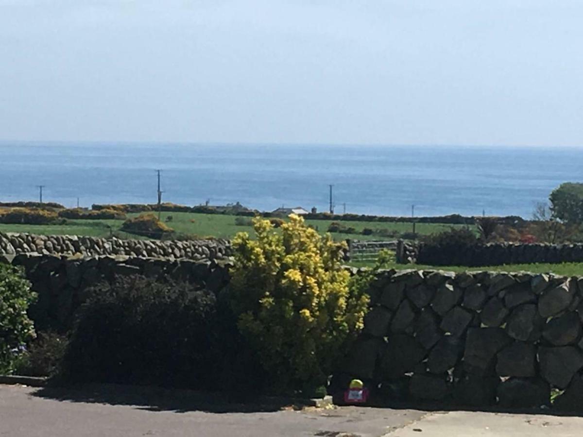 Moneydarragh Cottage With Uninterrupted Mountain And Sea Views- Hot Tub Available For Hire Annalong エクステリア 写真